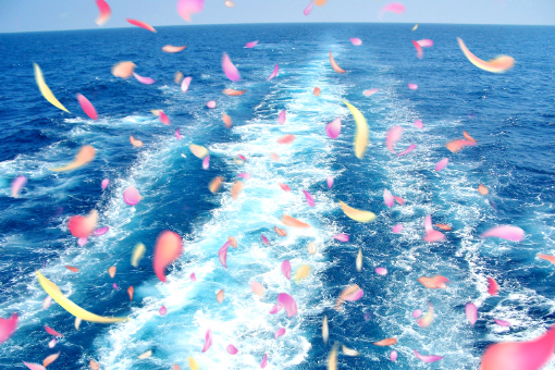 8、海洋への旅立ち