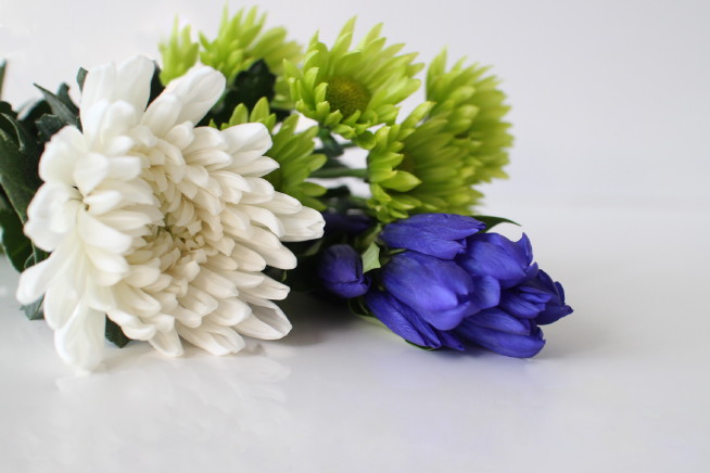 各種お問い合わせはこちら