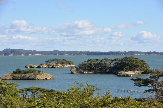 Sea Wingについて